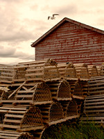 2009-07-30 3 DSC0255 traps