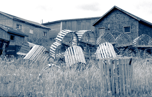 2009-07-30 3 DSC0219 traps bw