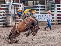 2016-07-28 Calgary DSC_1879 1