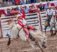 2016-07-28 Calgary DSC_1782 1crop