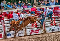 2016-07-28 Calgary DSC_1908 3