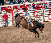 2016-07-28 Calgary DSC_1983 1