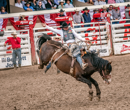 2016-07-28 Calgary DSC_1983 1