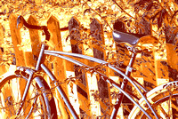 2007-08-10 DSC_0397 bike pe exclusion neg