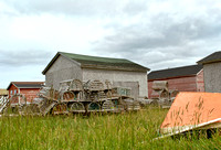 2009-07-30 3 DSC0273 traps